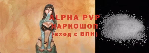 стаф Абаза