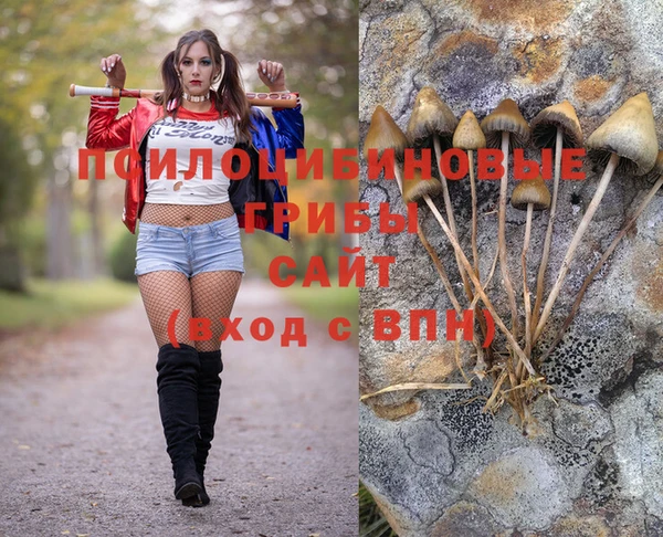 ALPHA PVP Алзамай