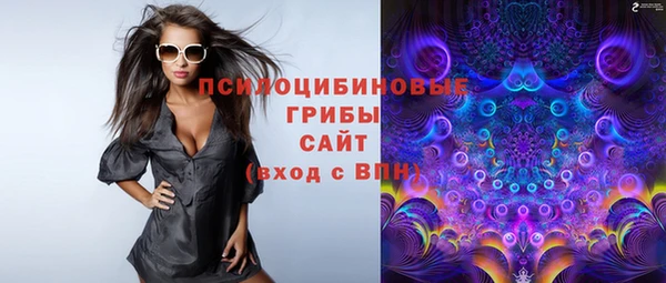 амф Алексеевка